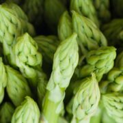 Asparagus and Cilantro Nutrition Fun Facts
