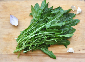 Chicory and Dandelion Greens Nutrition Fun Facts