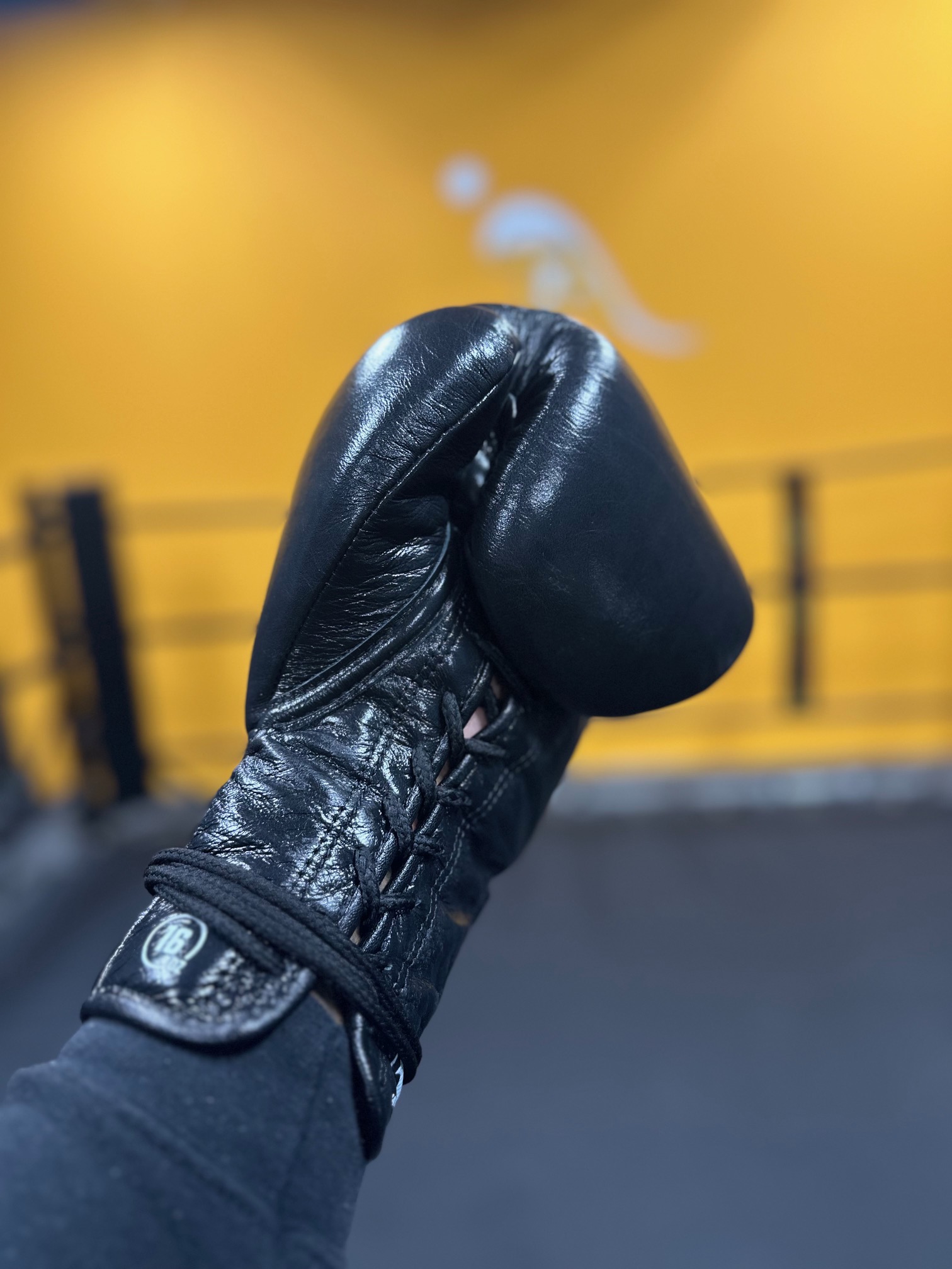 Punch Mechanics for Boxing: Protect Your Wrists and Fists