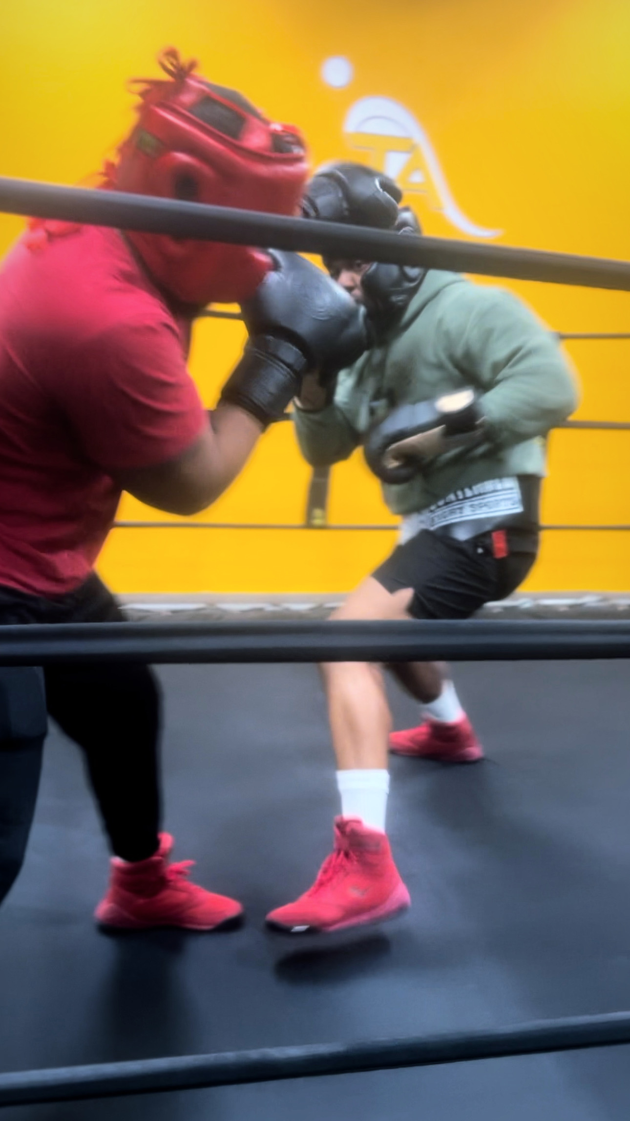 Sparring For Men