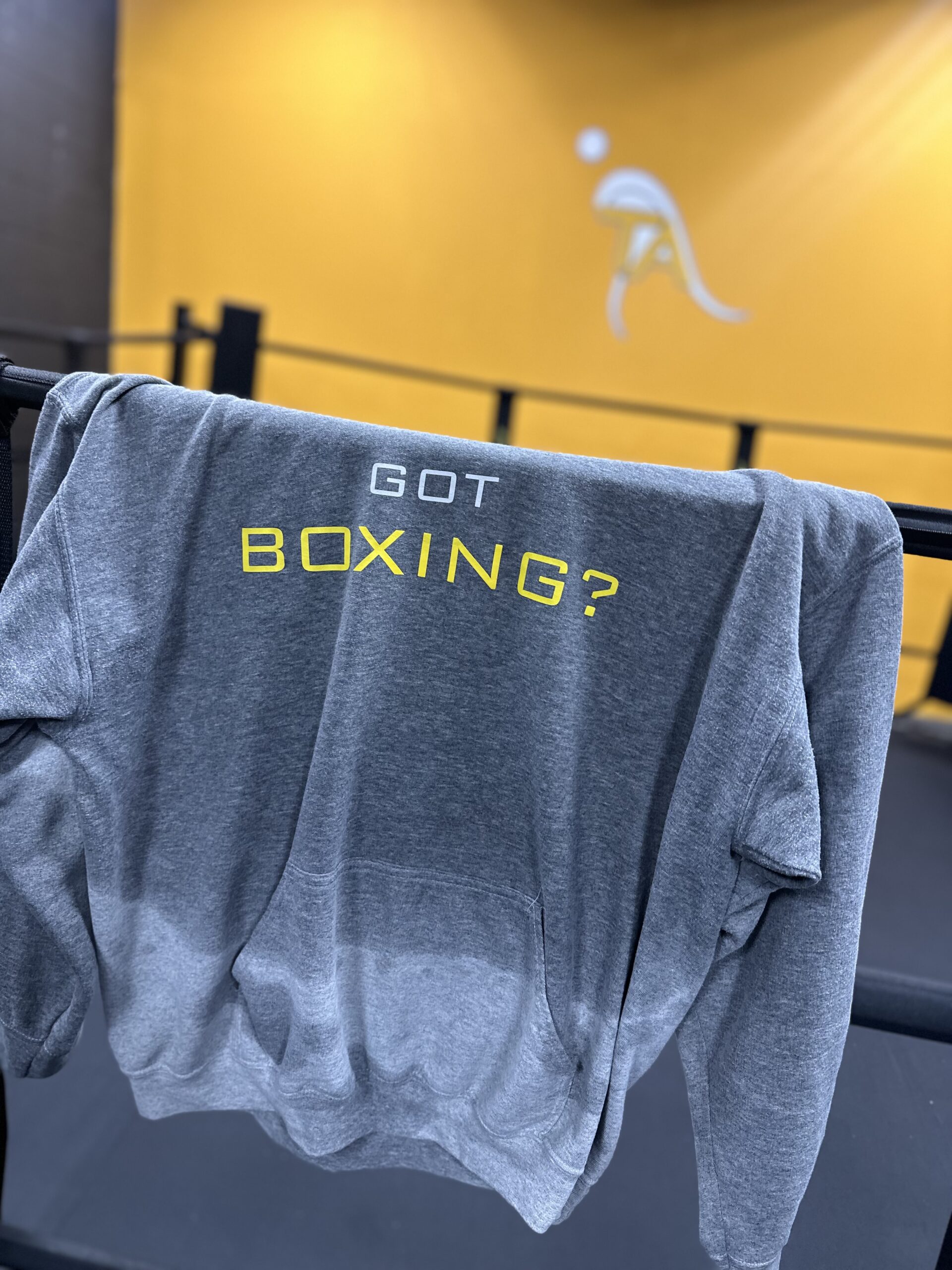 Already Quit Your New Year Resolution? TA Boxing can Guide You