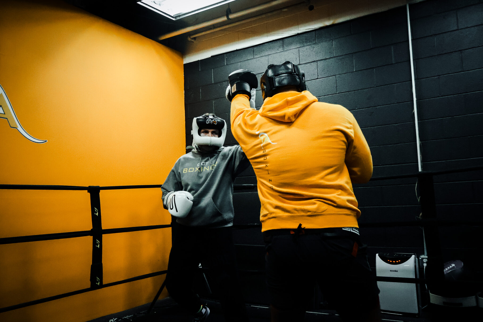 The TA System main photo