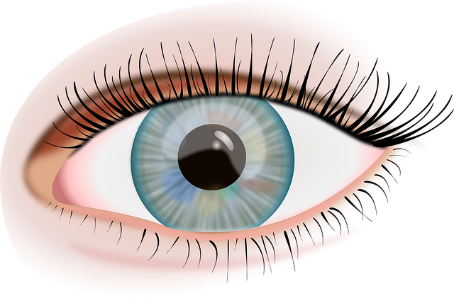 Untitled post 380577